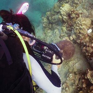 PRO Level Underwater Videographer Course