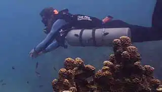 Sidemount Specialty Course diver from Crystal Dive seen underwater