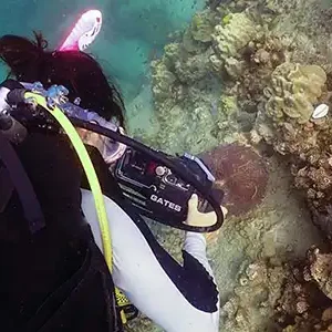 Crystal Dive Professional Video Courses