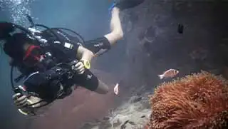 Diver taking video during underwater videographer course