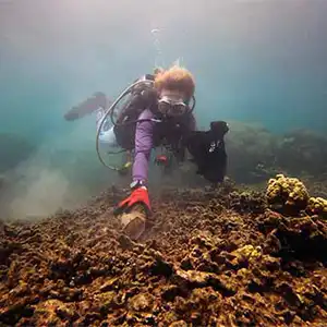 Marine Conservation diver cleaning up dive site on Koh Tao