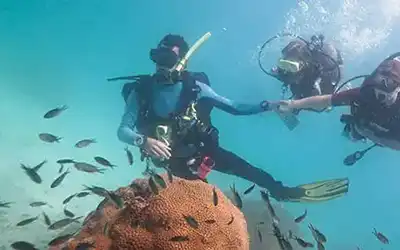 Learn to breathe underwater
