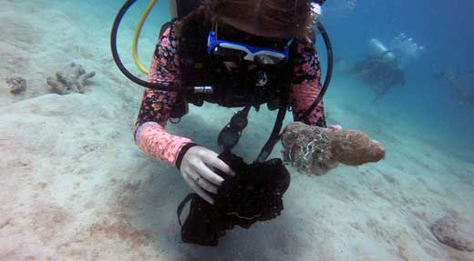 Dive_Against_Debris_Volunteer_Diver