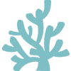 Coral Tribe Coral Icon