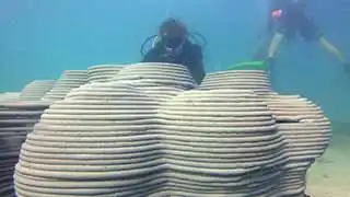 thecoraltribe.com-artificial-reef-3d-structure 3d concrete structure