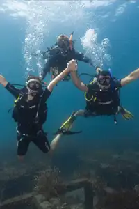 Basic Divers having fun underwater on Koh Tao