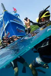 Open Water divers in water
