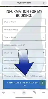 ssi-diamond-access-upgrade-crystaldive.com