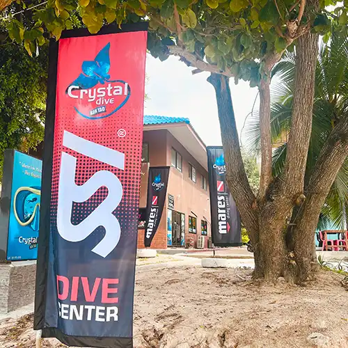 SSI vs. PADI Open Water, What’s the difference?