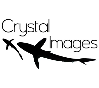 Crystal Images Koh Tao