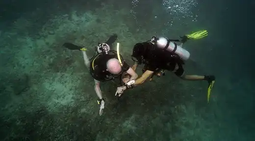 kohtaodiving.org-chronicles-advanced-diver-course-navigation