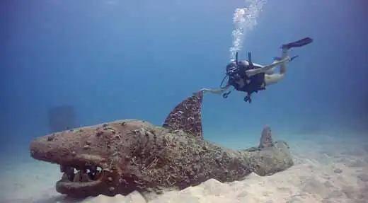 kohtaodiving.org-chronicles-advanced-open-water-buoyancy-specialty-koh-tao