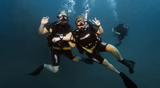 kohtaodiving.org-chronicles-buddys-underwater-having-fun