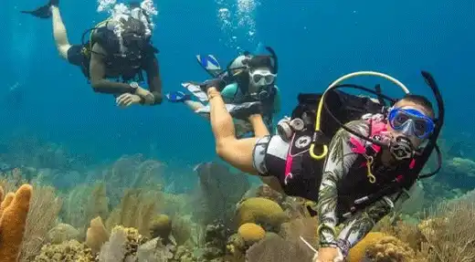 kohtaodiving.org-chronicles-buddys-underwater