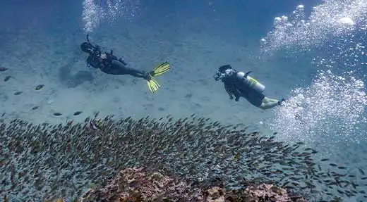 kohtaodiving.org-chronicles-deep-diver-spec