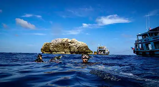 kohtaodiving.org-chronicles-deep-sail-rock
