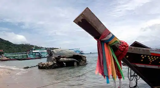 kohtaodiving.org-chronicles-discover-scuba-beach Rescue Diver