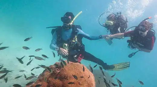 kohtaodiving.org-chronicles-discover-scuba-divers-coral-koh-tao