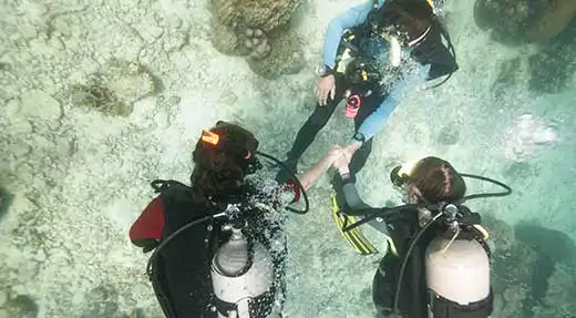 kohtaodiving.org-chronicles-discover-scuba-divers-underwater-with-instructor