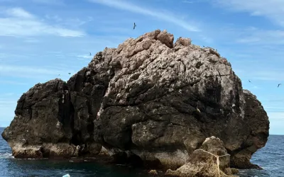 4 Things that make Sail Rock Special