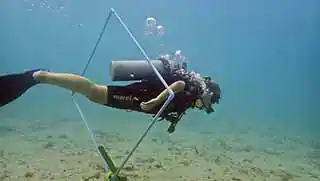 kohtaodiving.org-peak-performance-buoyancy-diver-swim-through-square-koh-tao Crystal Dive Perfect Buoyancy specialty diver swimming through square on Koh Tao