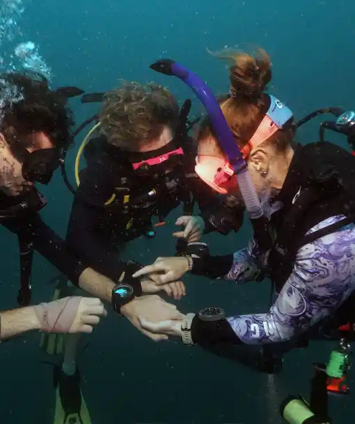 SSI Advanced Open Water course Koh Tao depth comparison Comparing depth readings on the deep dive from our SSI Advanced Open Water course Koh Tao