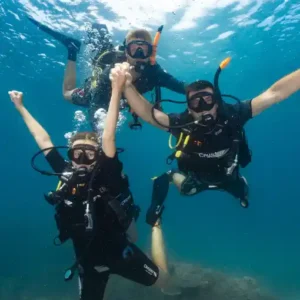 Try diving on Koh Tao diving for the first time