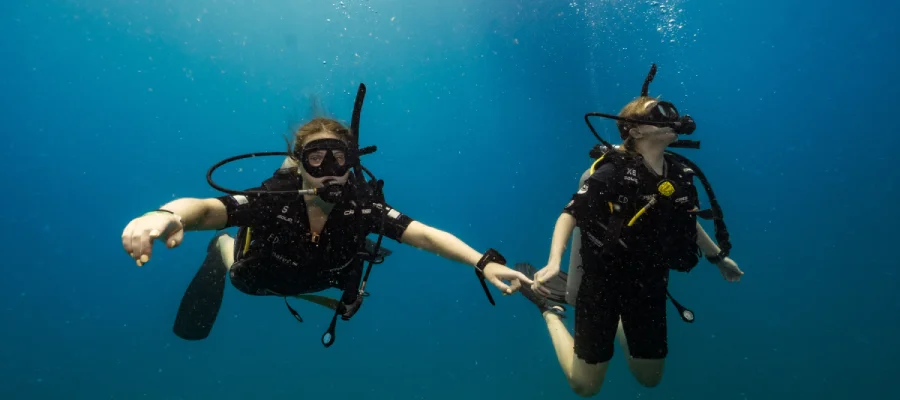 two girls diving around Koh tao