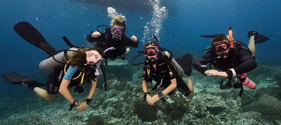chronicles master sac rate diver group of divers Group of divers hovering over the coral reef on Koh Tao