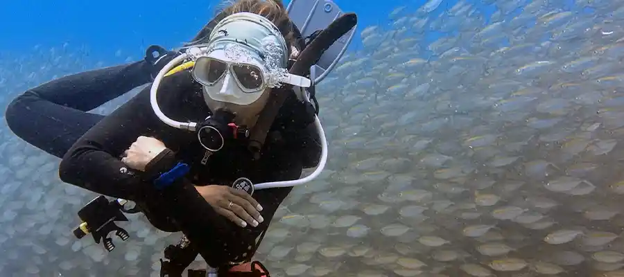 chronicles master sac rate pro diver tips Pro Level Diver in a school of fish