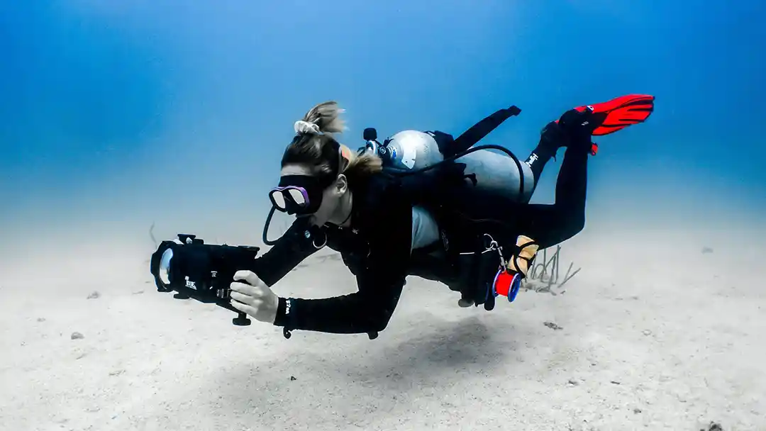 Learn to dive in our pool