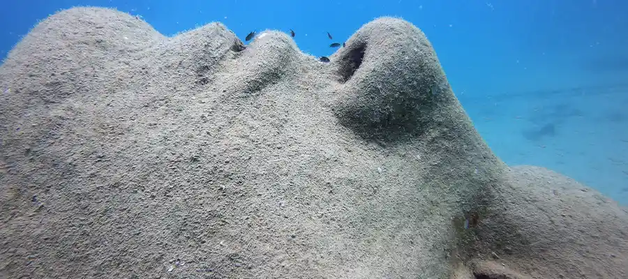 chronicles artificial reefs mazu An artificial reef structure on Koh Tao called Mazu