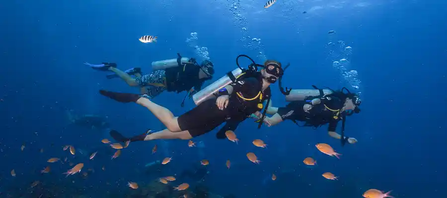 chronicles how to fit a scuba mask diver reef Scuba divers on a reef