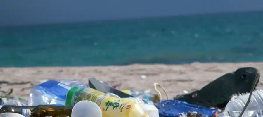 Plastic doesn't just dissapear