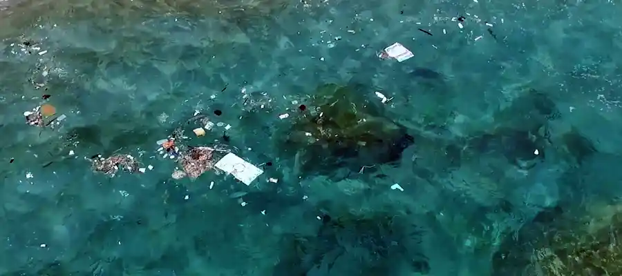 Trash floating on the ocean surface