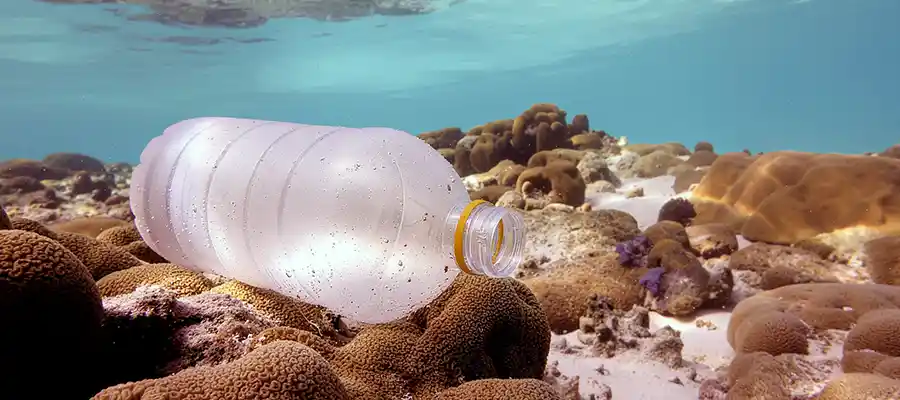 Plastic bottle laying on coral underwater