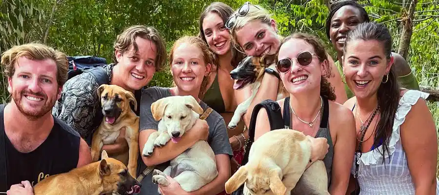 Volunteers at Koh Koh Pups
