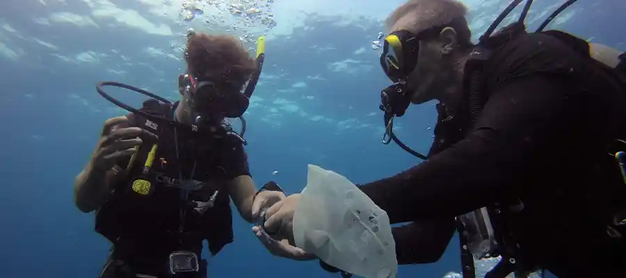teaching sustainable diving practices
