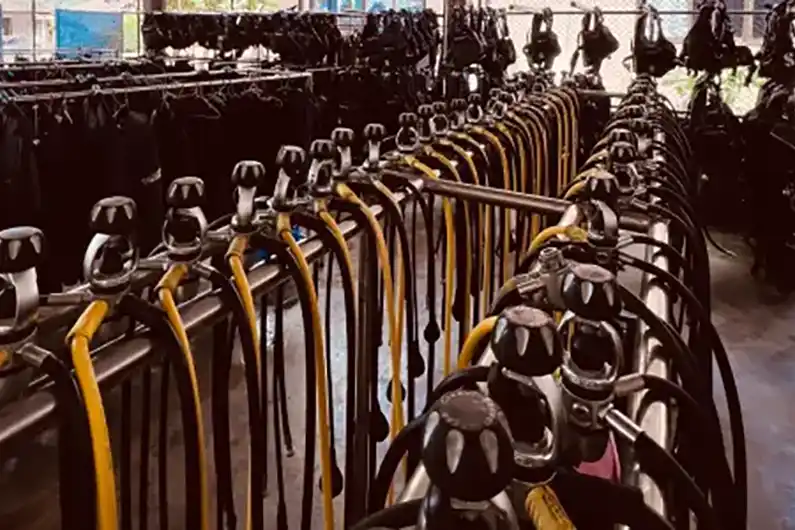 Crystal Dive equipment room regulators, wetsuits and buoyancy compensators