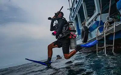Best dive school on Koh Tao