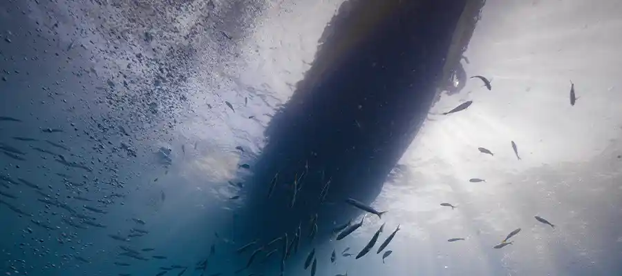 Viewing the boat from underwater on Koh Tao