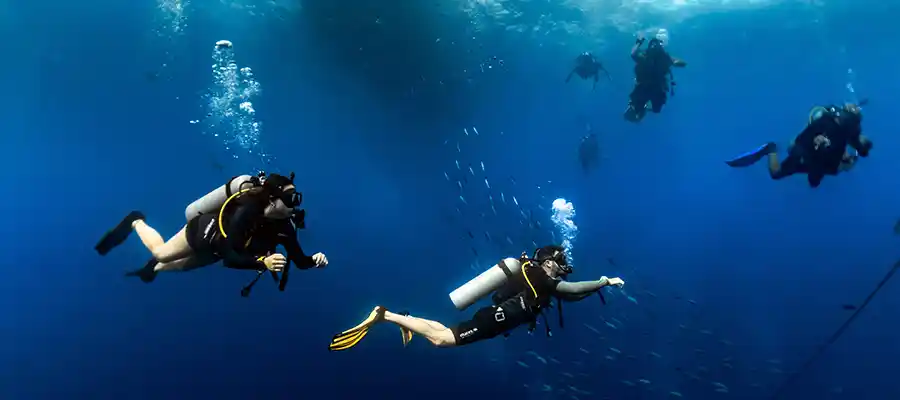 chronicles green fins diver blue water Scuba divers enjoying their dive